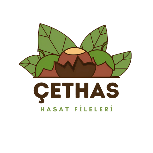 Çethas